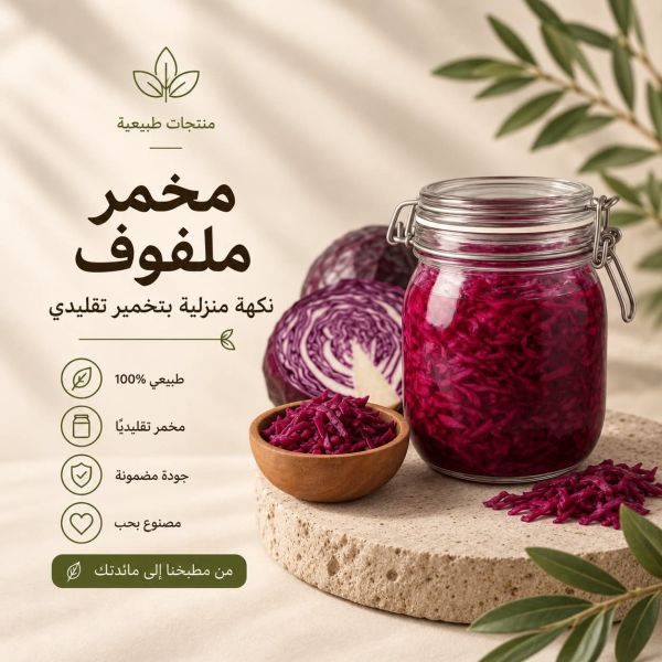 مخمر ملفوف